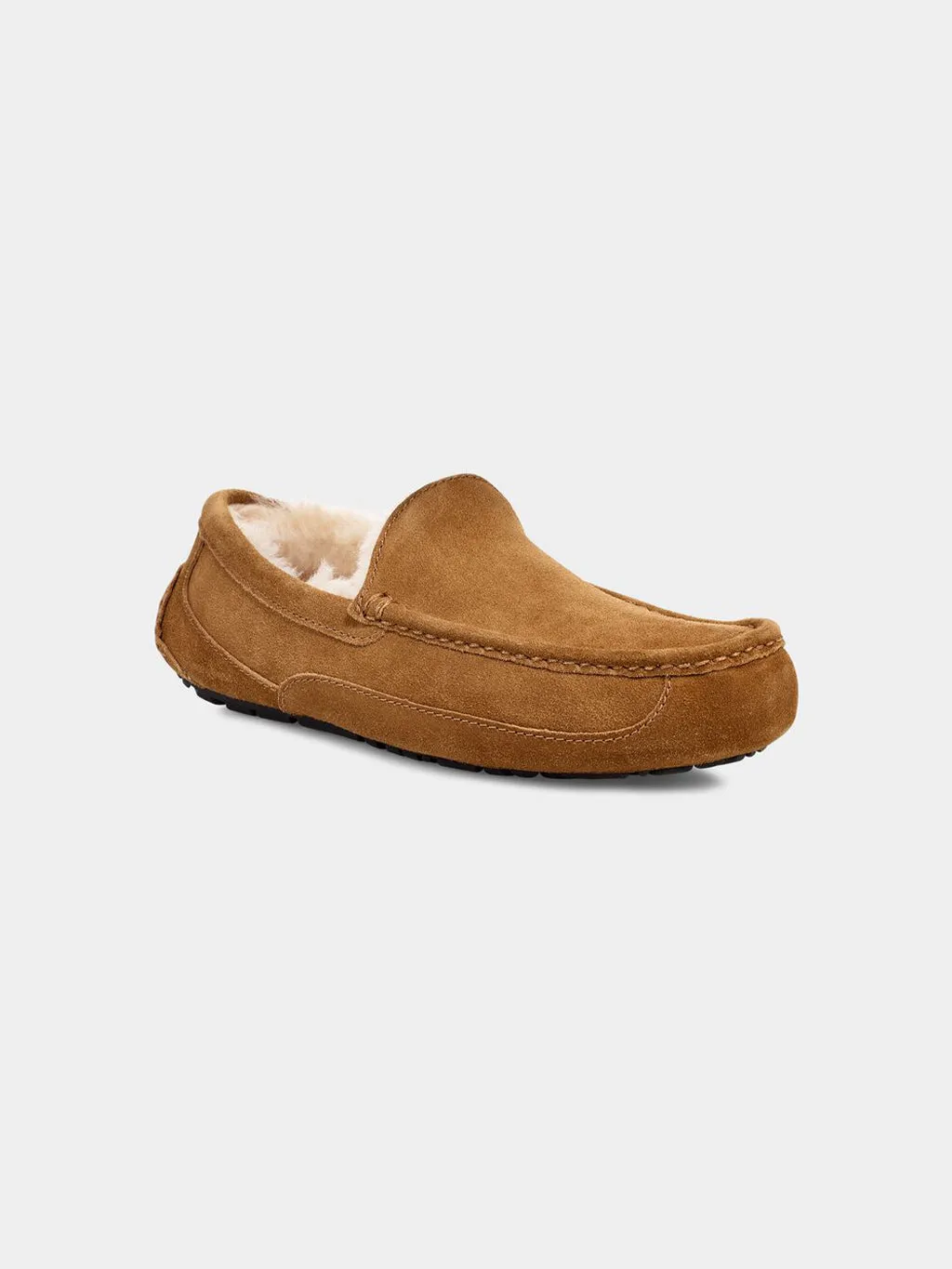 Mule Ascot pour Homme