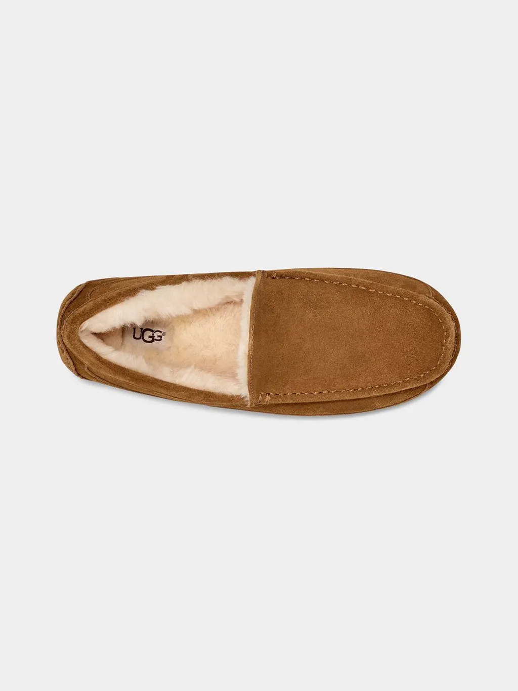 Mule Ascot pour Homme