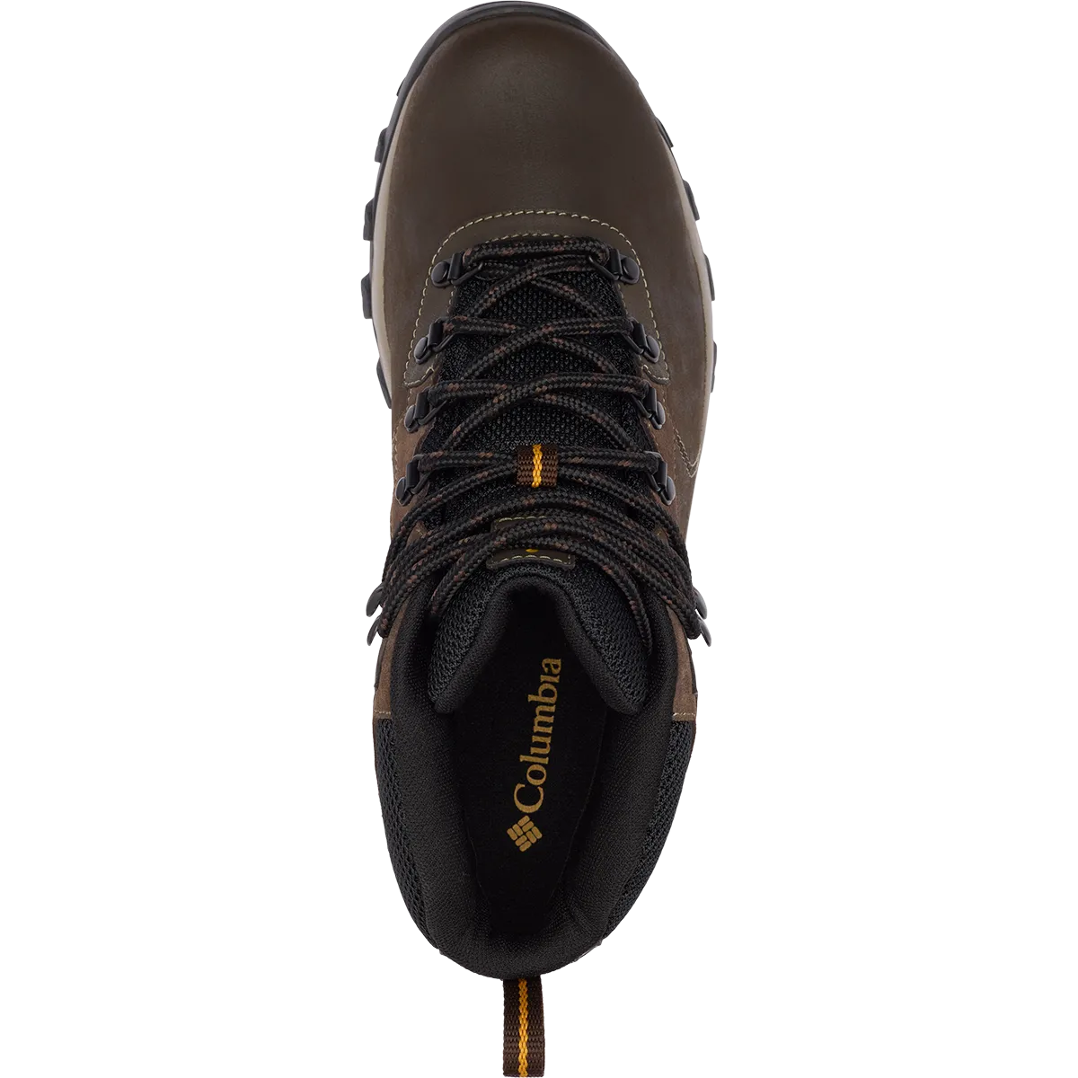 Chaussures Asics Newton Ridge Plus II imperméables pour homme