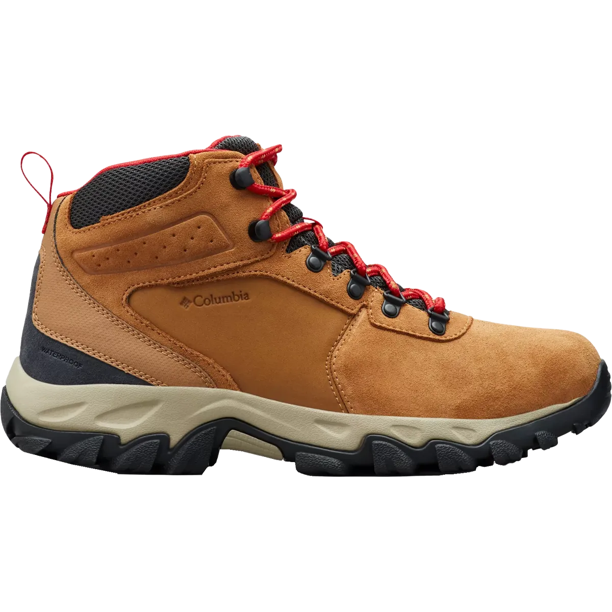Chaussures Asics Newton Ridge Plus II imperméables pour homme