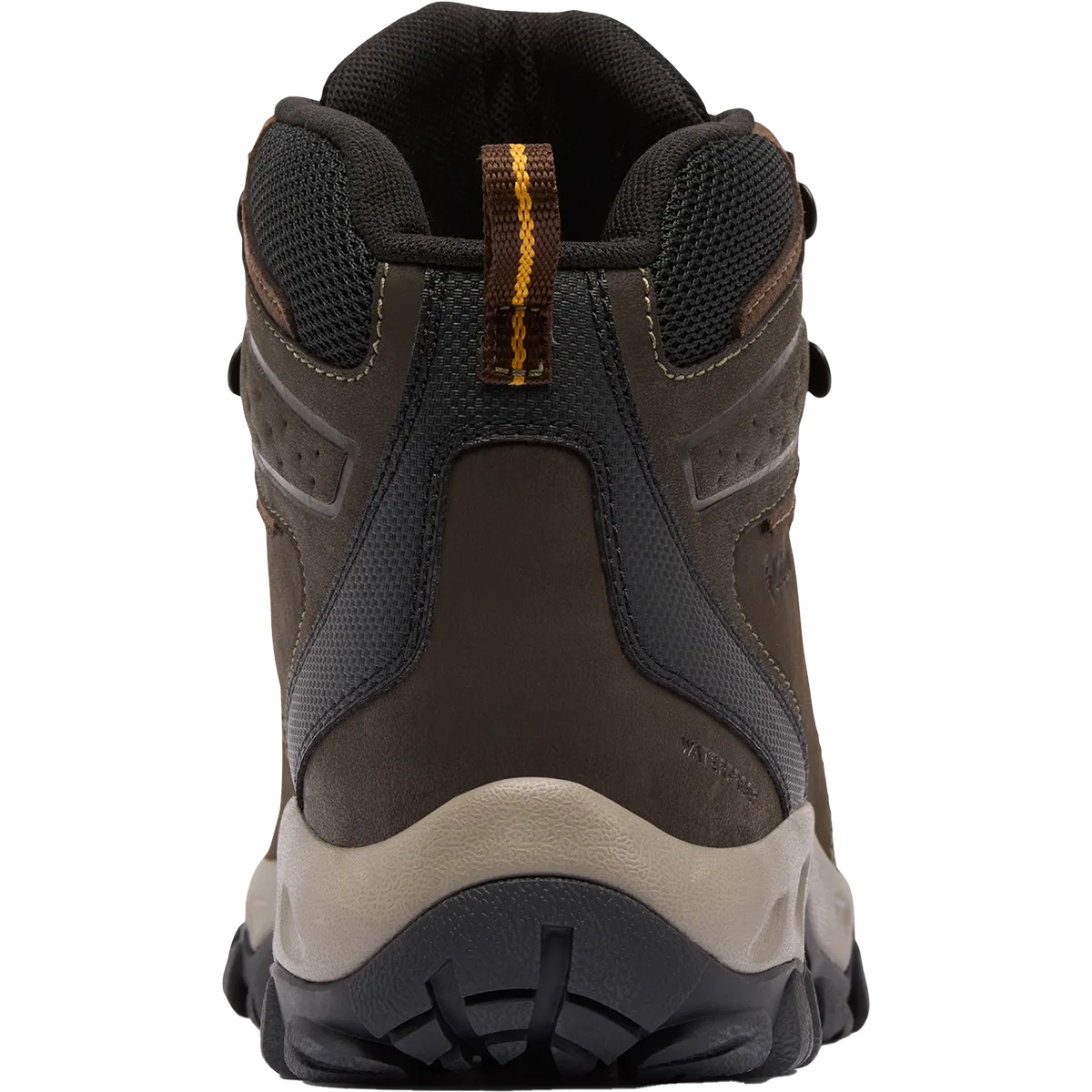 Chaussures Asics Newton Ridge Plus II imperméables pour homme