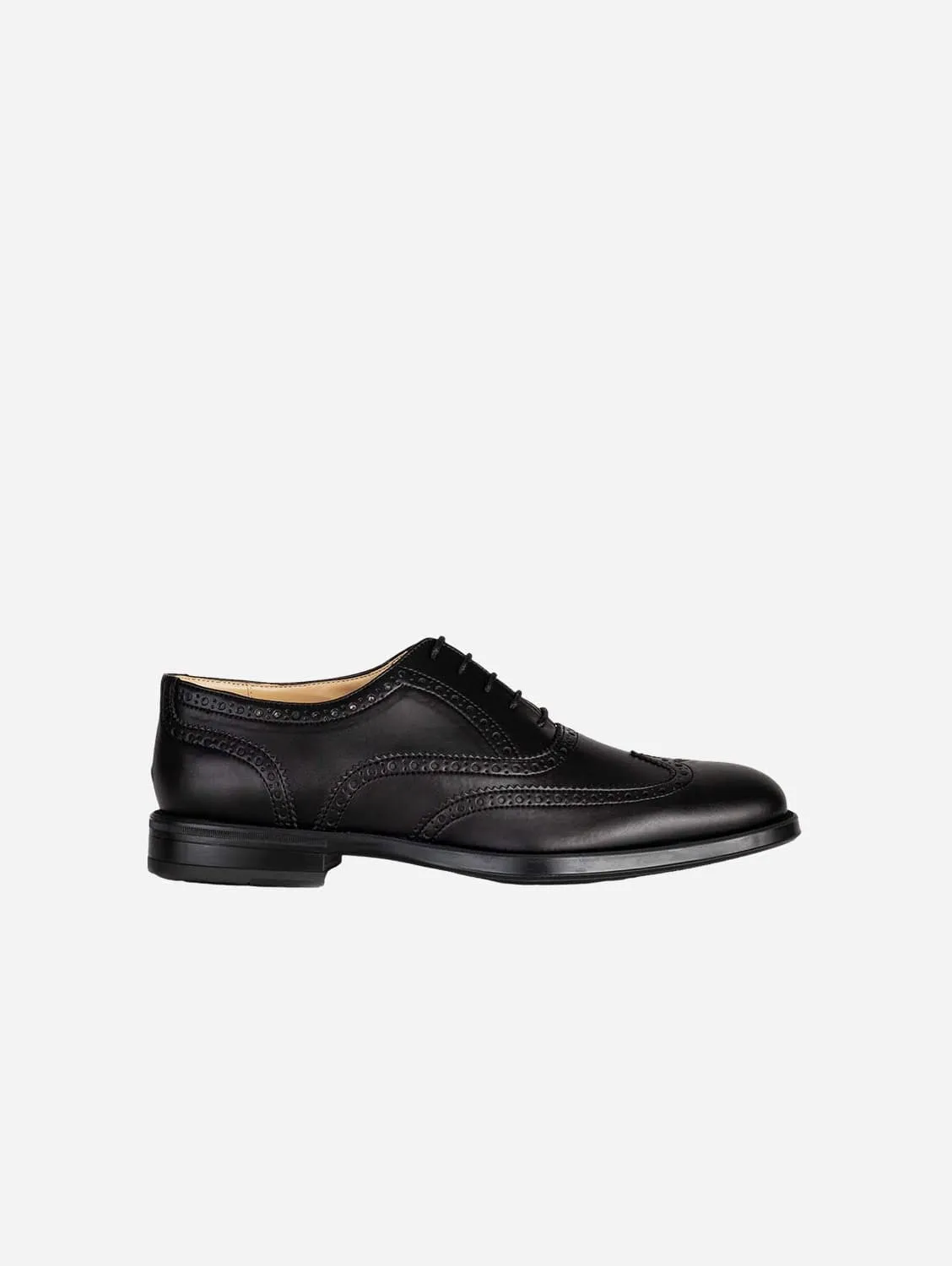 Chaussures Richelieu Véganes en Cuir de Maïs pour Homme | Plusieurs Couleurs