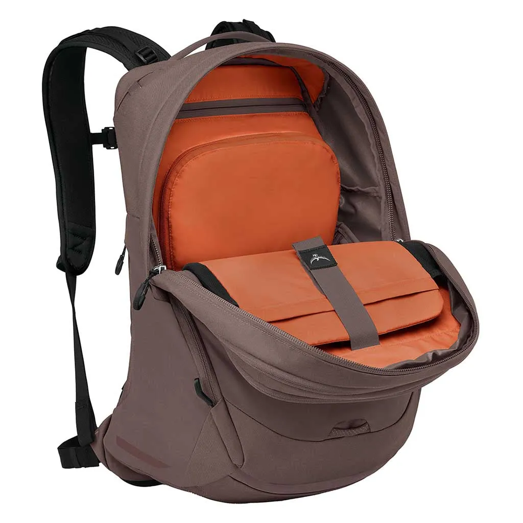 Sacs Metron Airspeed 34 Osprey