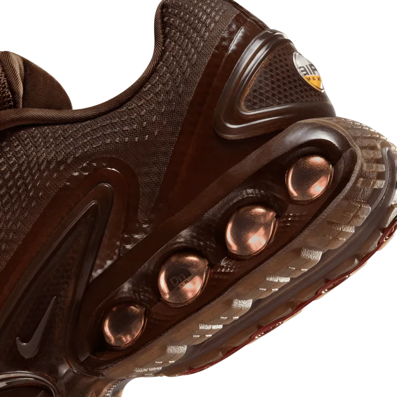 Baskets Nike Air Max DN ISA (F)