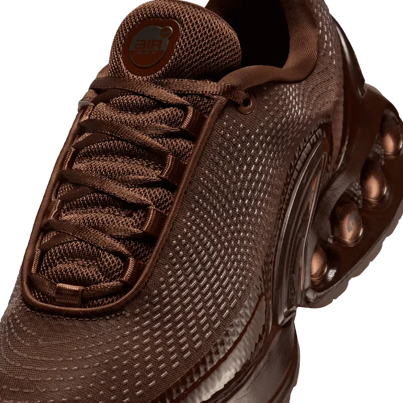 Baskets Nike Air Max DN ISA (F)