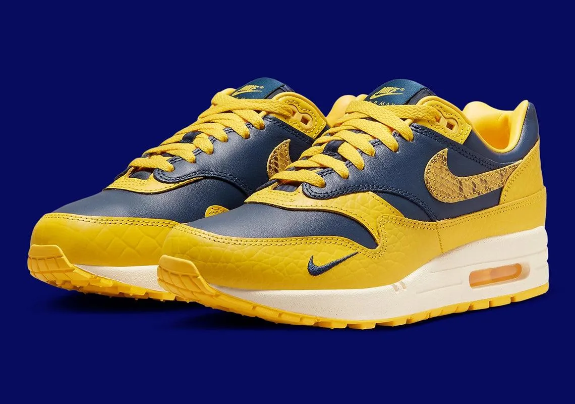 Nike Sneakers Nike Air Max 1 CO.JP Michigan Tête-à-tête (Femmes)