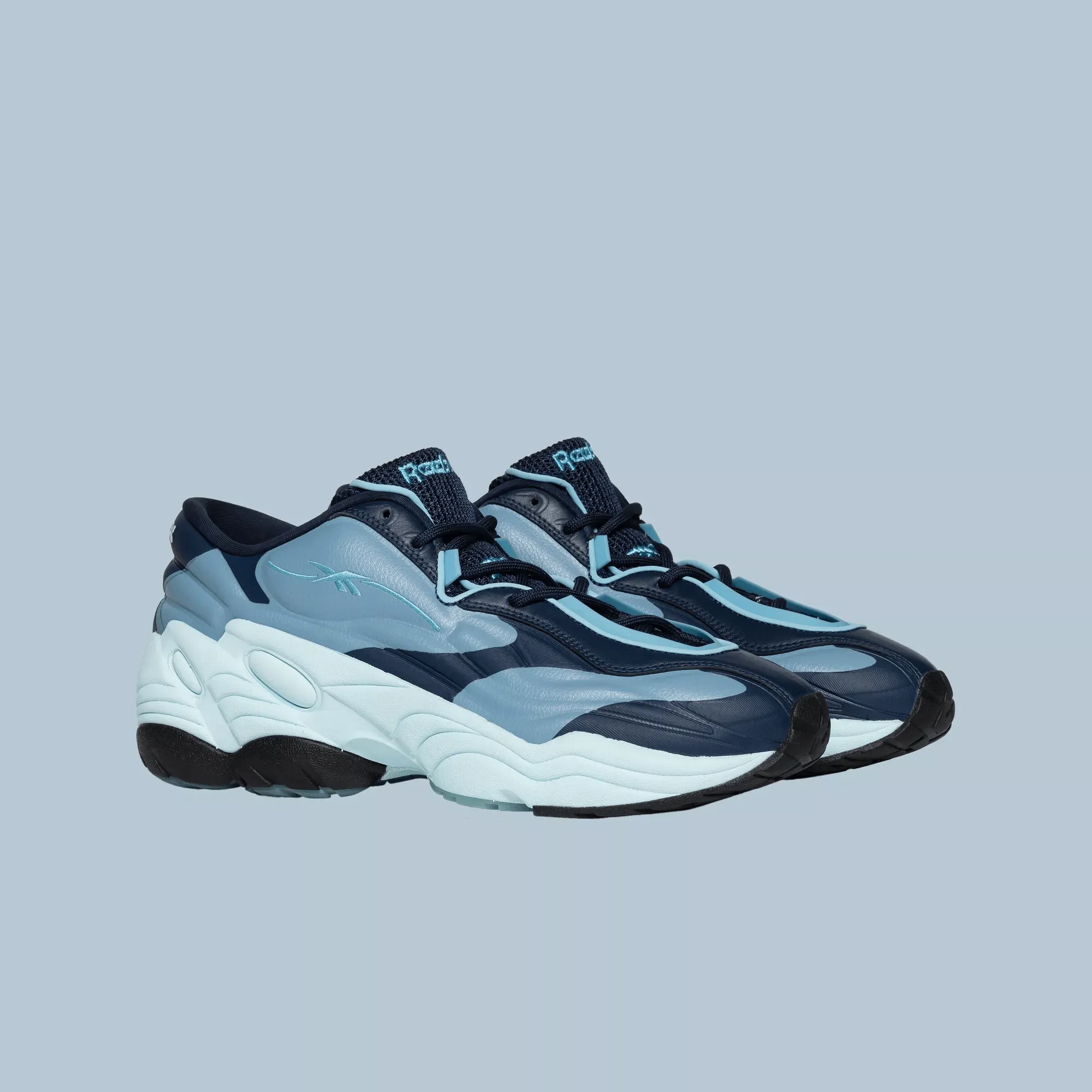 Chaussures Reebok DMX Run 6 LTD
