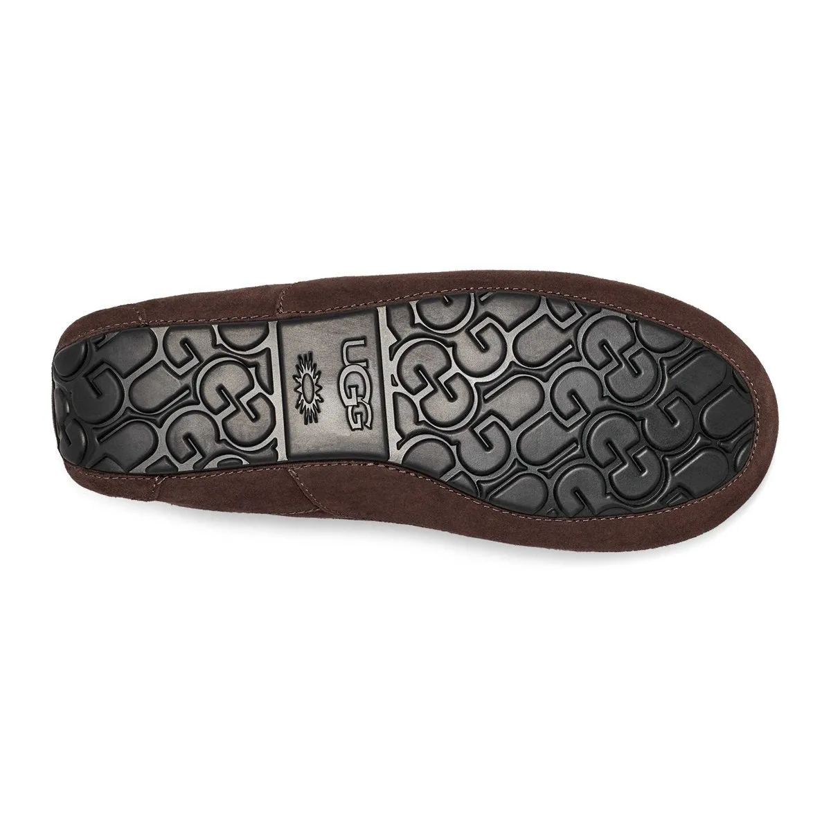 UGG Homme Ascot Suède Poussiéreux Cacao