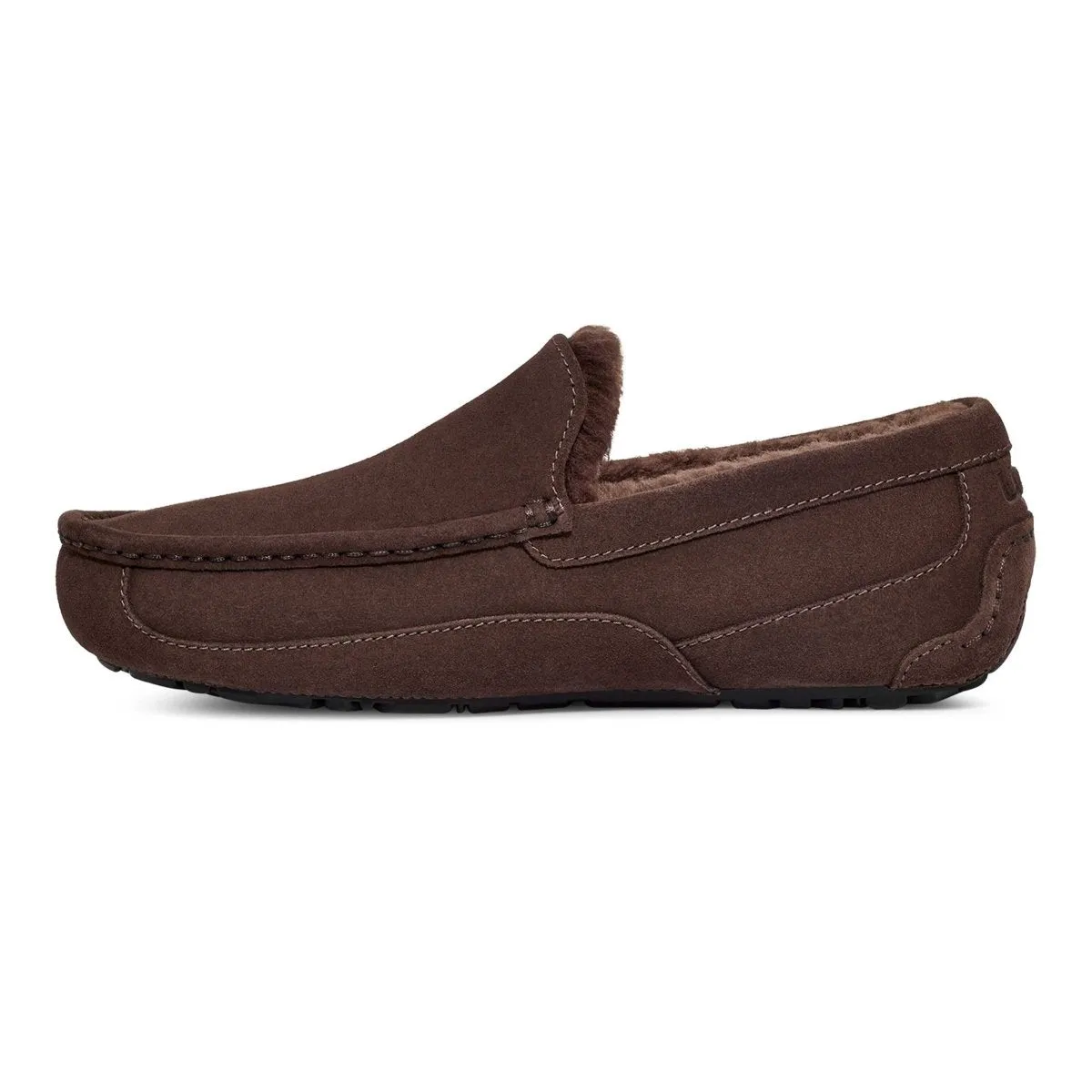 UGG Homme Ascot Suède Poussiéreux Cacao
