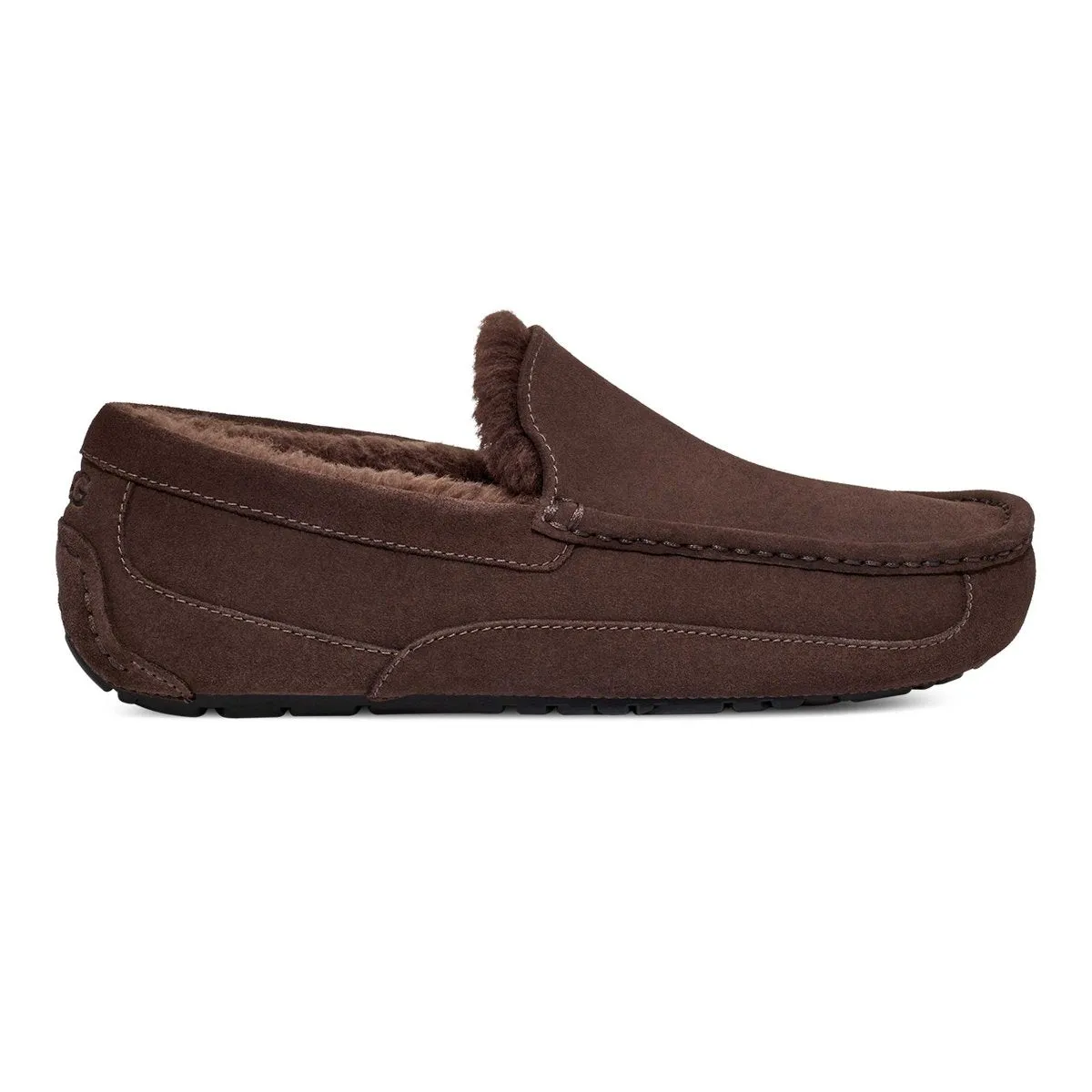 UGG Homme Ascot Suède Poussiéreux Cacao